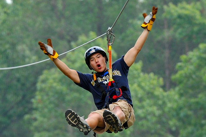 Zip Line - Half Day Trip - The Appeal: A Half-Day Zipline That Actually Fits Your Vacation
