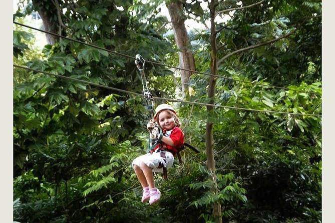 Zip Line - Half Day Trip - Who This Zipline Fits Best (and Who Might Want to Skip It)