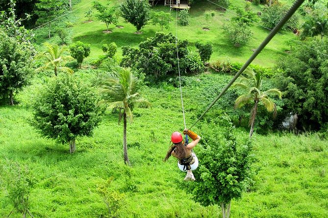 Zip Line in Punta Cana - Optional Coffee and Cocoa Plantation: A Calmer Side Quest