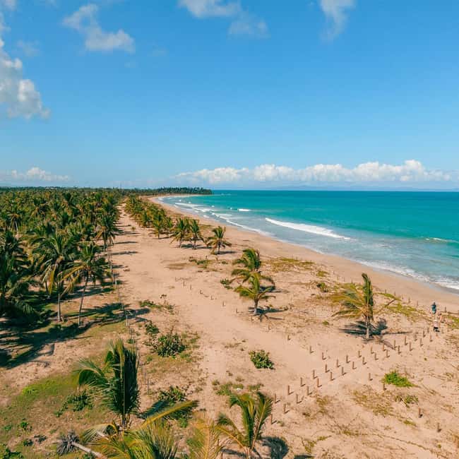 Zip Line Playa Esmeralda With Redonda Mountain - Montaña Redonda: the 360° viewpoint you came for