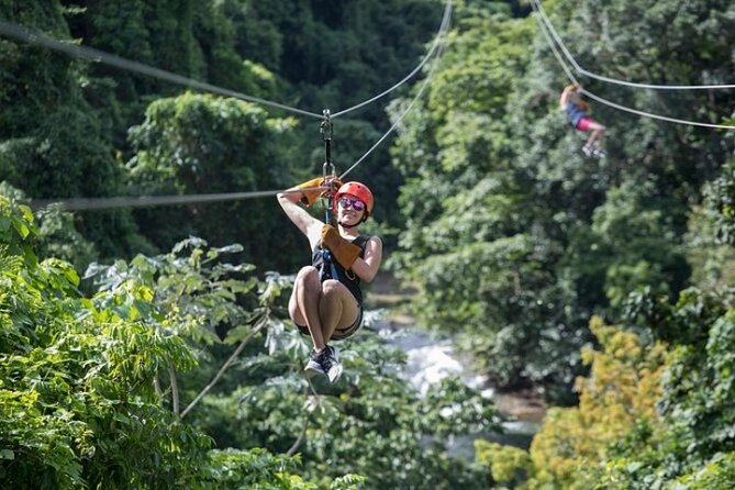 Zipline Adventure in Punta Cana – Thrilling Canopy Experience - Small-group limits: why max 14 can change the vibe