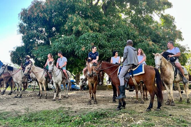 Zipline,Dune Buggy,Horse Riding - Horse riding time through mountains, riverbeds, and cocoa trees
