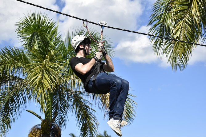 Ziplining from Punta Cana - Unique Carbon Fiber lines in Punta Cana - What the Jungle Views Feel Like Up Close